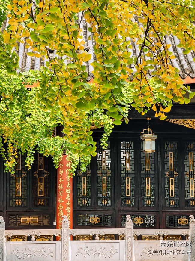 《每周星鮮事》 第49期