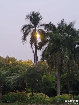 喧囂中的美景