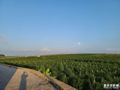 遠(yuǎn)離浮躁。