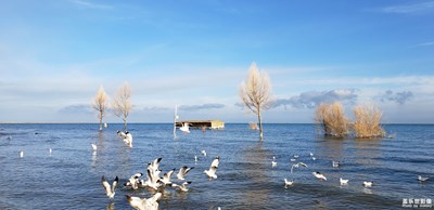 【精彩定格】+青海湖&醉美深秋