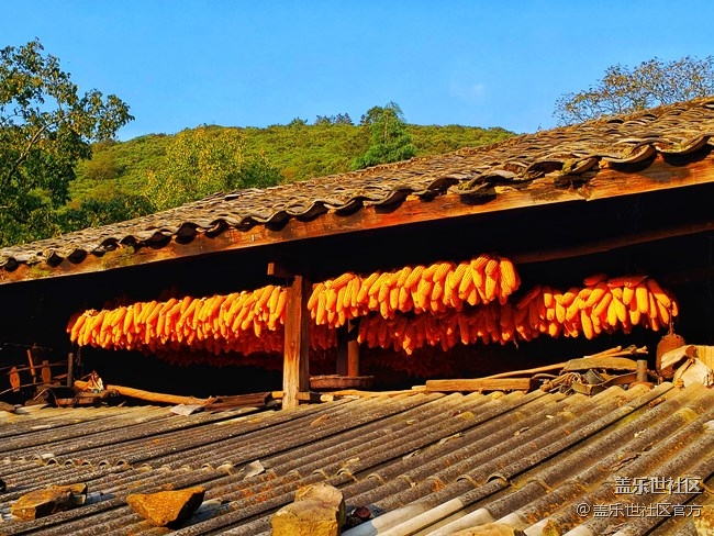 《每周星鮮事》 第49期