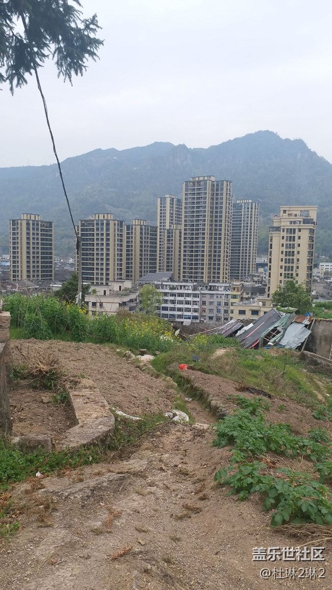 【喜迎元旦】剁手剁手