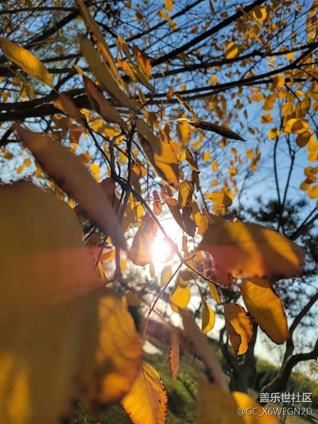 【Galaxy Note20星粉體驗團】尊貴奢華有內(nèi)涵 【Galaxy Note20星粉體驗團】尊貴奢華有內(nèi)涵