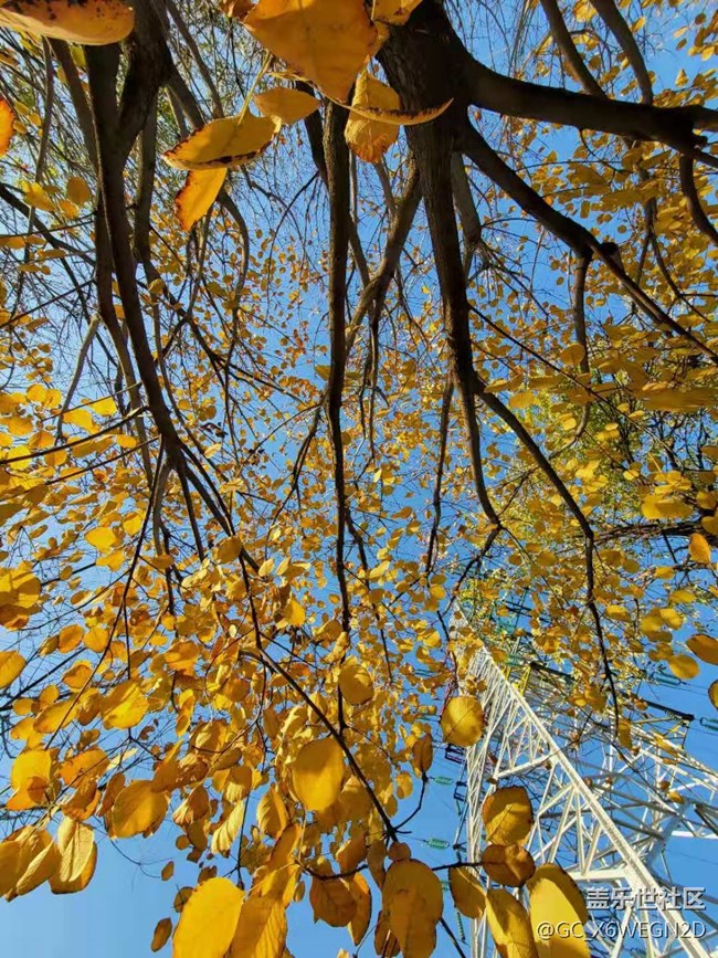 【Galaxy Note20星粉體驗團】尊貴奢華有內(nèi)涵 【Galaxy Note20星粉體驗團】尊貴奢華有內(nèi)涵