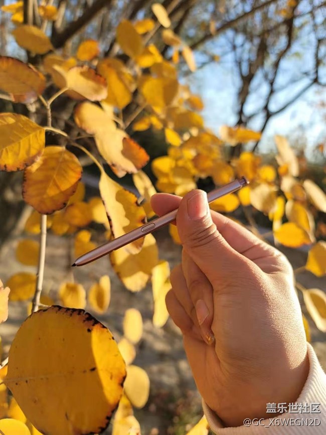 【Galaxy Note20星粉體驗團】尊貴奢華有內(nèi)涵 【Galaxy Note20星粉體驗團】尊貴奢華有內(nèi)涵