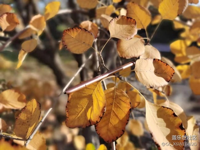 【Galaxy Note20星粉體驗團】尊貴奢華有內(nèi)涵 【Galaxy Note20星粉體驗團】尊貴奢華有內(nèi)涵