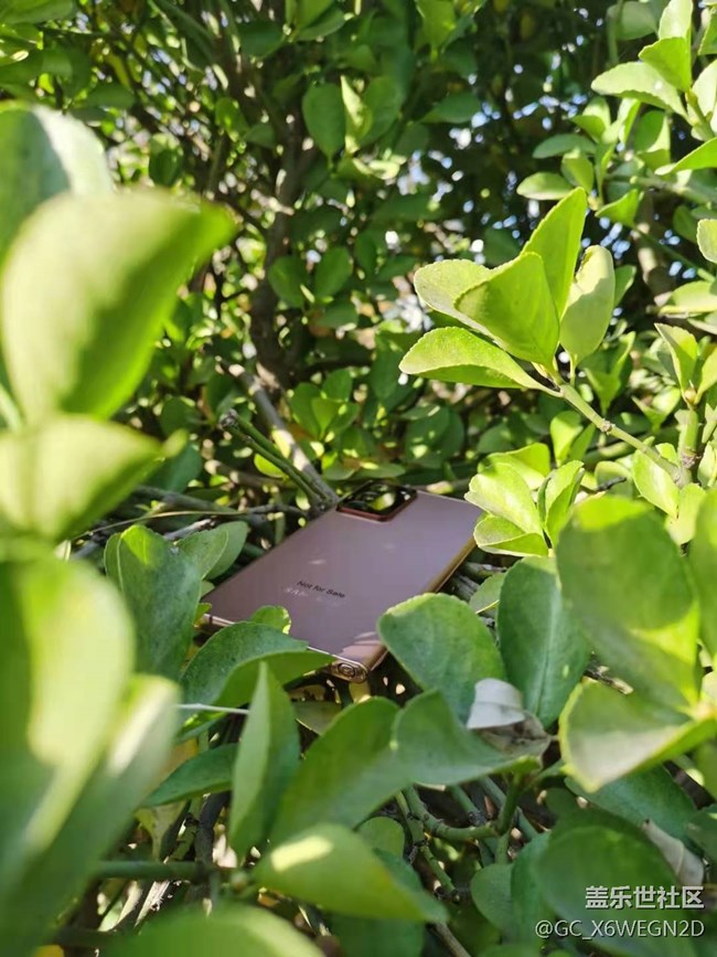 【Galaxy Note20星粉體驗團】尊貴奢華有內(nèi)涵 【Galaxy Note20星粉體驗團】尊貴奢華有內(nèi)涵