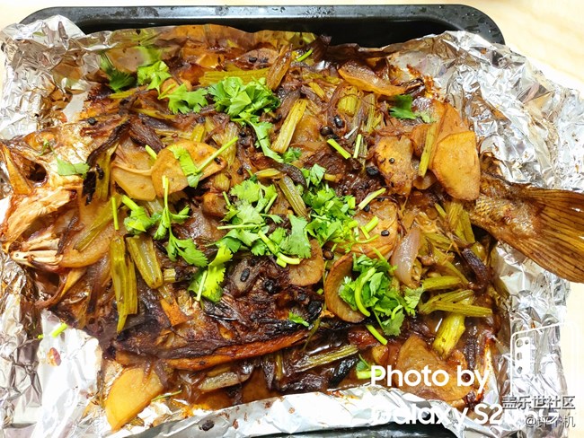 三星S20微距模式直出