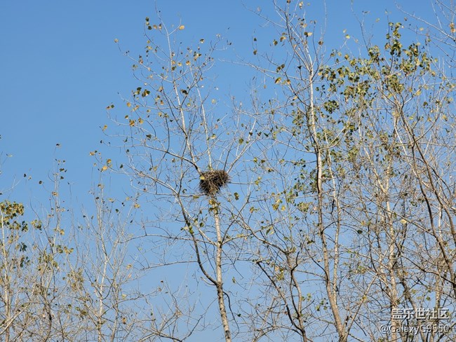 【Galaxy Note20星粉體驗團】“常規(guī)“但不平庸