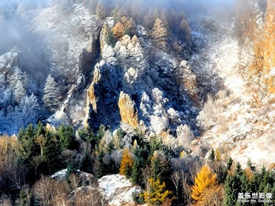 【心動(dòng)的瞬間】雪霽