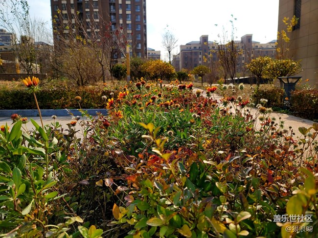 【Galaxy Note20星粉體驗團】Note20 Ultra驚艷設(shè)計 強大性能