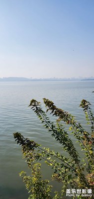 【心動的瞬間】+武漢風景
