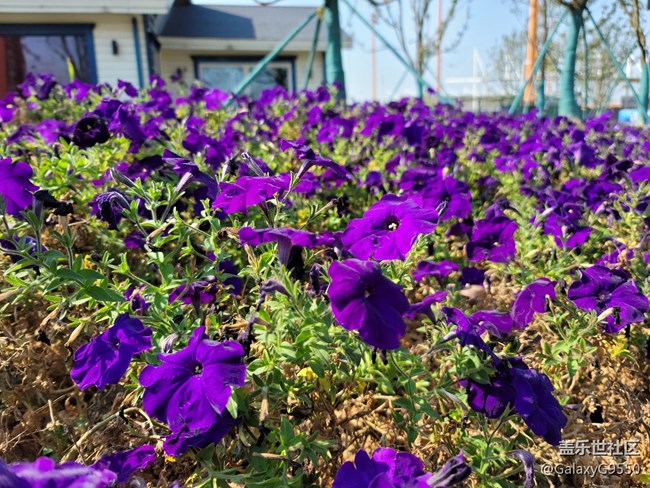 【Galaxy Note20星粉體驗團】“常規(guī)“但不平庸