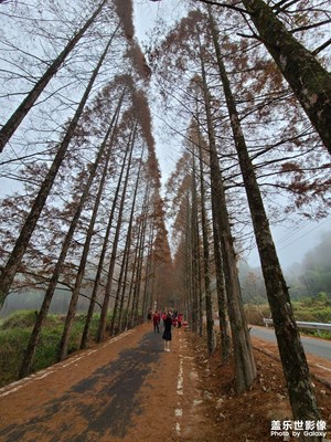 康莊大道