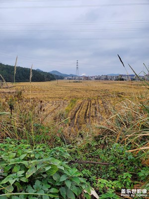 【心動的瞬間】鄉(xiāng)村田野