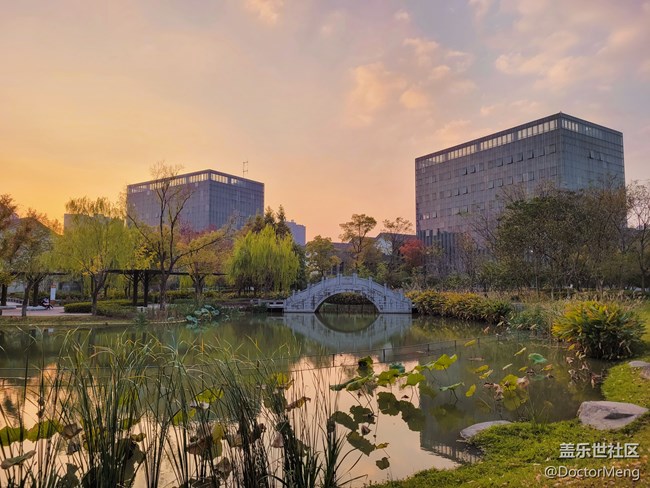 【Galaxy S20 FE星粉體驗(yàn)團(tuán)】性價(jià)比與硬實(shí)力，它都有。