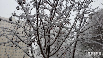 大雪紛飛