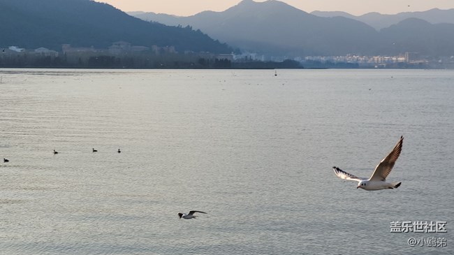 【Galaxy S20 FE星粉體驗團】顏值即正義的性能小鋼炮！