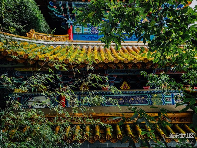 【Galaxy Note20 星粉體驗團】再一次，引領(lǐng)新時代！