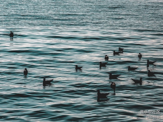 【Galaxy Note20 星粉體驗團】再一次，引領(lǐng)新時代！