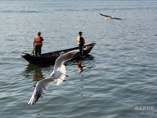 【Galaxy S20 FE星粉體驗團】顏值即正義的性能小鋼炮！