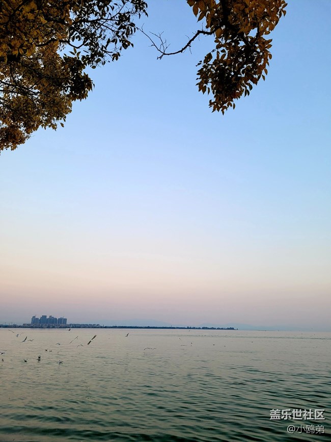 【Galaxy S20 FE星粉體驗團】顏值即正義的性能小鋼炮！