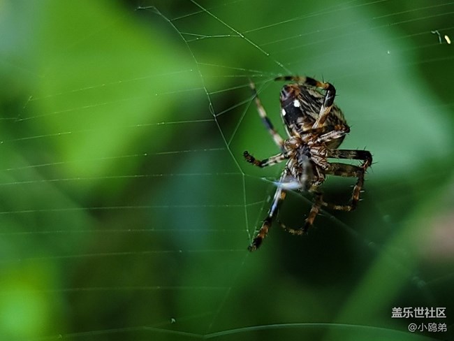 20201124_225737 (2).jpg