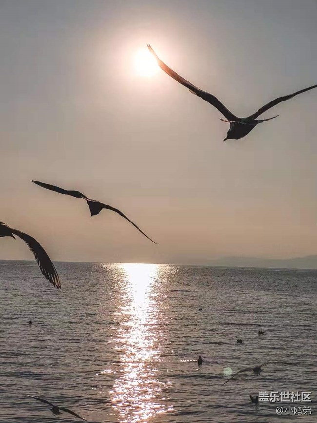 【Galaxy S20 FE星粉體驗團】顏值即正義的性能小鋼炮！