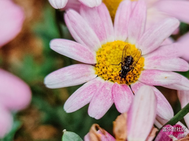 【Galaxy Note20 星粉體驗團】再一次，引領(lǐng)新時代！