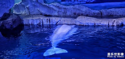 s10＋ 海洋館篇