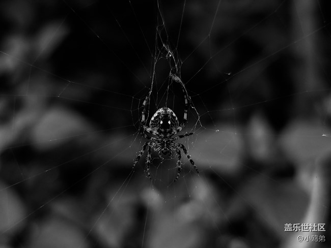 20201024_134050 (2).jpg