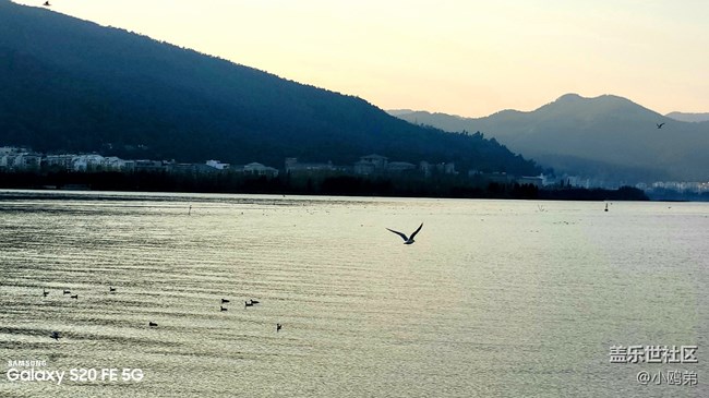 【Galaxy S20 FE星粉體驗團】顏值即正義的性能小鋼炮！