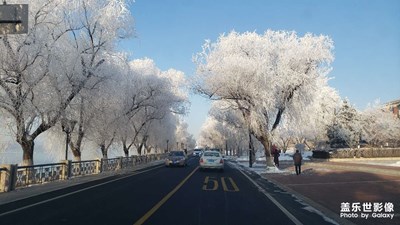 吉豐東路之美