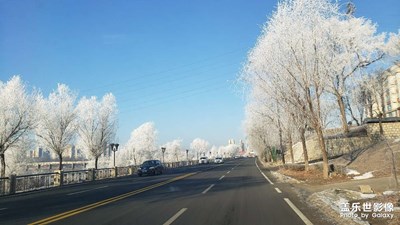 吉林 霧凇