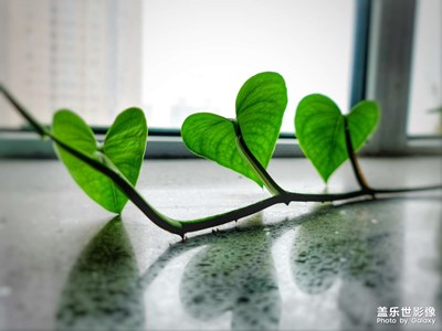 隨拍