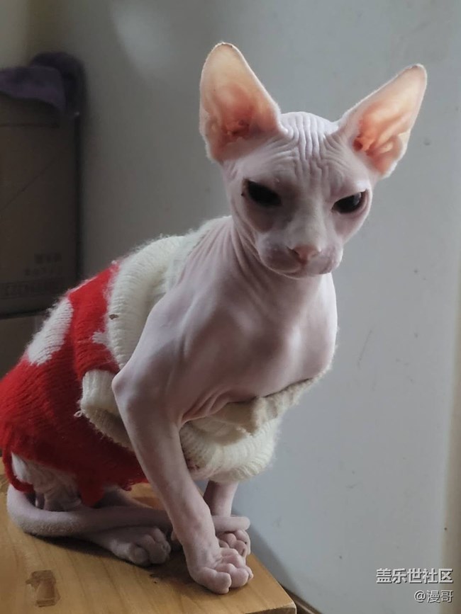 不一樣的體驗(yàn)換屏啦 不一樣的體驗(yàn)換屏啦