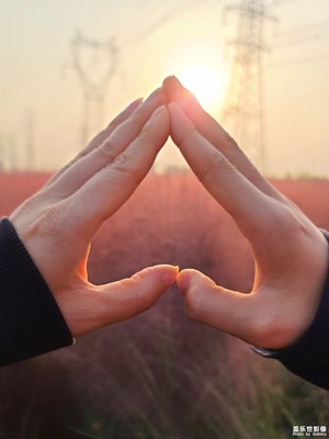 【與美好相遇】+粉黛花海