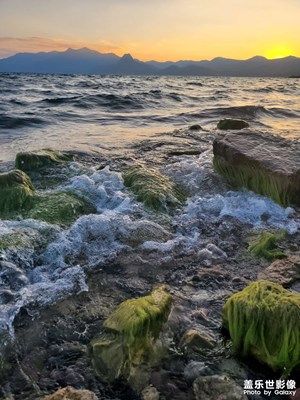 撫仙湖