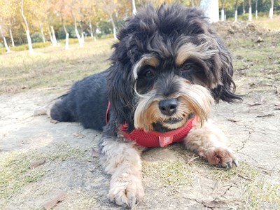 【與美好相遇】+是誰的幸運(yùn)