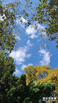 周末祈福