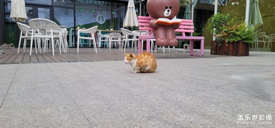 看看手機信息先