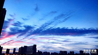 【難忘2020】隨手記錄的