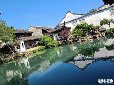 【難忘2020】蘇城園林盡眼底