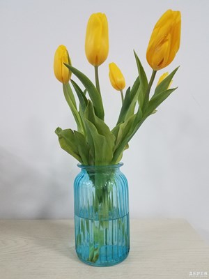 【難忘2020】+美麗的花兒