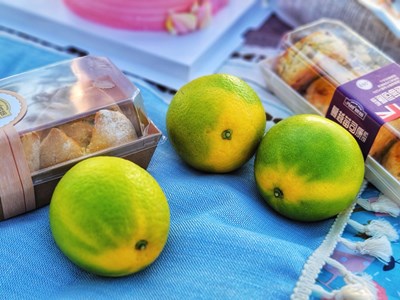 【幸福生活】+簡單活著