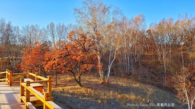 GalaxyS10+   壩上風(fēng)光之 霜冷御道口