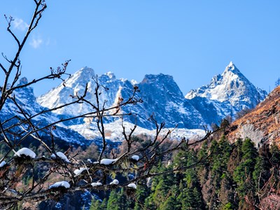 【難忘2020】+2020年我的第一場雪