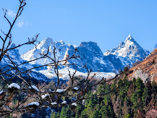 《每周星鮮事》 第52期: