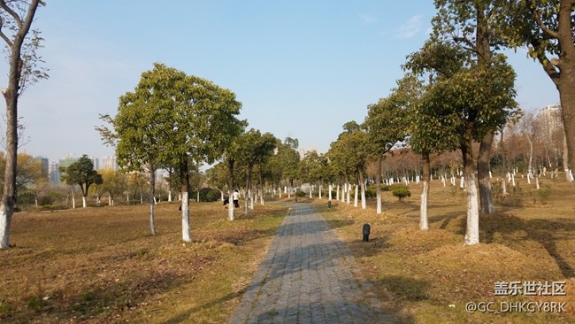 休閑公園---陶沖湖畔