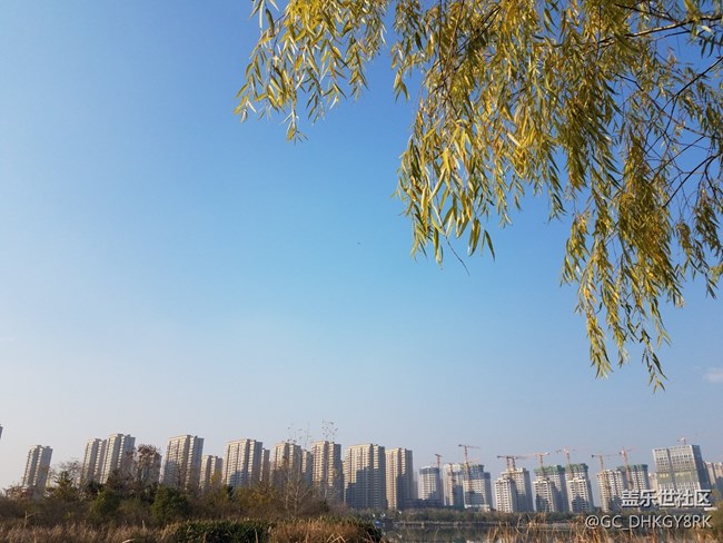 休閑公園---陶沖湖畔